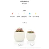 Mini macetas de plástico coloridas Suculentas Perfect Flower Plant Container Reusable Hierb Camática | Graden de Kraflo