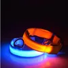 USB chargeable Pet Supplies LED Dog Collars Nylon Safety Light Flashing Glow Collar