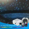 led fiber star light