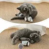 Bluetooth -app fjärrkontroll Pet Cat Toy Mouse Feather Interactive Wireless Electric Catch Moving Mouse Toy for Cat USB Laddning L183V