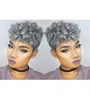 Diva Real hair Salt and pepper silver grey hair Wigs for Black Women Short Hairstyles for Women machine made human Colorful afro kinky