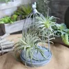 인공 공기 잔디 Tillandsia 즙이 많은 파인애플 리프 몰려 가짜 식물 테이블 꽃 결혼식 꽃다발 장식 C0125