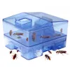 Pest Control Chakerach Exterminator Traps Magic Box Тараканы Ловящий дом Палка бытовая нетоксичная кухня анти-таракана медицина прямая продажа из Китая