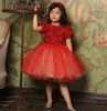 Sparkling Ball Gown Girl's Pagant Klänningar Sequins Bodice Red Flower Girls Dress Tulle Kortärmad Ålder 5 6 7 8 9 10 Prom Gown Födelsedagsfest