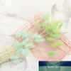 20Pcs Colorful Grass Dried Flower Bunny Tail Natural Plants Floral Grass Bouquet Home Decoration Accessories Long Bunches