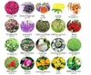 20 zak gedroogde bloemen natuurlijke gedroogde bloem kruiden kit voor bad, zeep maken, kaars maken - omvatten rozenblaadjes, rosebuds, lilium, jasmijn ...