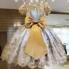 INS Baby Girl Dresses Lace Embroidery Christmas Dress Wedding Gown Children Clothing Kids Dresses For Girls Children Ceremony 1678851