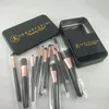 iron box 12 make-up brush sets brush a variety of iron box make-up and color make-up tools