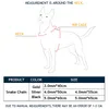 金属銅スリップ犬チェーンソリッドヘビトレーニングチョークPTYPE犬の首輪子犬のためのゴールドシルバーペット製品201030 3030