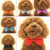 Pet Dog Bow Tie Dog Tie Kołnierz Kwiat Akcesoria Dekoracja Dostawy Pure Color Bowknot Necktie Gromadzenie Dostawy