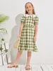 Meisjes Peter Pan Collar Puff Sleeve Gingham Jurk Zij