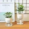 1 шт. Автоматическая полива Planter Coar Ceramic Closepot со стеклянным водяным контейнером для зеленых растений Суккулентский завод Кактус Y200709