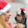 Mascotas Sombreros de Navidad Adornos de Feliz Navidad para el hogar Gorro de Navidad Pequeño Sombrero de Papá Noel de felpa para mascota Perro Gato Sombrero Feliz Año Nuevo Regalo SN2023