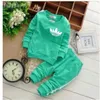 Baby Boy Kleding Sets Herfst Casual Baby Meisje Kleding Suits Kind Pak Sweatshirts + Sportbroek Lente Kinderen Set 2 Stuks Sweatshirts Sport 2022 Nieuw