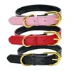 Gold Pin Buckle Dog Collar Liing Leashes verstelbare mode lederen honden kragen nek huisdier benodigdheden accessoires