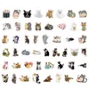 50st Cartoon Cute Cat Stickers Pack Nonrandom Graffiti Car Bike Bagage Sticker Laptop Skateboard Motor Water Bottle Dec6173762