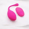 Silicone érotique Jump Egg Télécommande sans fil Femme Vibrator à distance clitoridien Stimulateur vaginal point G Massager Sex Toy Couples