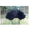 Bufandas Mujeres Fur de boda encogimiento de hombros Real avestruz de plumas Cape Shawly Poncho para la novia S891