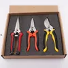 bonsai tree pruning shears