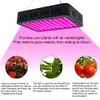 1800W 180*10W Full Spectrum Led Grow Lights 3030 Lamp Bead Plant Lamp Plant Flower Grow System Ökande skörd Lampa Enkelkontroll Svart