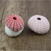 Fashion Potted Plant Natural Multi Color Dream Wall Stickers Decorations Sea Urchin Shell Pot Culture Gardening Supplies Hot Sale 1 2hz K2
