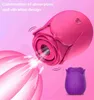 NXY Vibrators Rose Sazing Vibration Wireless Wire Vibrator Nipple Clitoris Vagina для 0104