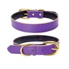 Gold Pin Buckle Dog Collar Liing Leashes verstelbare mode lederen honden kragen nek huisdier benodigdheden accessoires