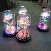 LED Enchanted Rose Light Silked Artificial Eternal Rose Flower in Glass Dome Lampe Decors Light Christmas Valentine Gift romantique C4623411