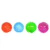 LED Interactive Toys Soft Rubber Flash Ball Pet Hedgehog Bouncing Barbed