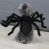 Halloween Pet Producten Pet Cosplay Spider Kostuum Hond Kat Spider Party Kleding 201111