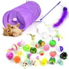 pet play set