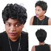 Short Curly Synthetic Wig Simulation Human Hair Wigs Hairpieces for Black Women pelucas de cabello natural corto 205A