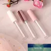 Vente chaude 5pcs 10ml Lip Gloss Tube 3 couleurs en option en plastique bouteille vide pour la mode Femmes Rechargeables Baume Lèvres Filles Fioles