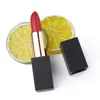 VMAE Groothandel 25 kleuren aangepaste logo matte lipstick make-up glans retro lippenstiften vorst natuurlijke langdurige lip stick