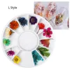 NA054 12 Colors Dried Flowers Nail Art Decorations 3d Natural Daisy Gypsophila Preserved dry flower DIY nail Stickers Manicure Decor Decal