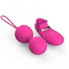 NXY vibrateurs prix de gros en ligne boutique de jouets sexuels USB rechargeable succion mamelon vaginal sans fil oeufs d'amour pour les femmes 0107