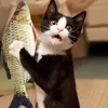 Haustier Weiche Plüsch 3D Fisch Form Katze Bissfestes Spielzeug Interaktives Geschenk Fisch Katzenminze Spielzeug Gefüllte Kissen Puppe Simulation Fisch Spielen Spielzeug YL0222