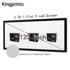 transparent projector screen
