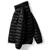 Winter Fashion Brand Ultra Light Duck Down Jacket Men Stand Collar Streetwear Feather Coat Packable Waterp Warm Men Clothing 201126