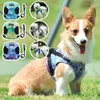 Dog Collars & Leashes Winter Harness Vest Collar With Leash Set Pet Walking Adjustable Cat Led Reflective For Puppy Small Medium Large Dog1