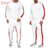 SITEWEIE 2 pièces ensembles hommes mode Sportswear sweats hommes survêtements épaissir pulls décontractés à capuche hommes tenue ensembles G455 201109