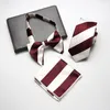 Pescoço amarra Sitonjwly Mens Tie Set Jacquard Handmade Lengata de gravata de gravata