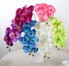 Real Touch Butterfly Orchid Branch Artificial Silk Flowers Wedding Home Party Decor Plant Fake Plant Phalaenopsis2752229