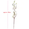 2020 Nouvelles fleurs de coton naturellement séchées plantes artificielles branche florale pour la décoration de fête de mariage fausses fleurs maison artificielle 3659911