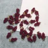 100st 15 * 9mm Mini Natural Garnet Crystal Stone Handväv Vin Röd Grape Form Charms Pendant W / 14K Guldpläterad Lås för halsband Örhänge