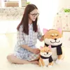 25 cm Schal Shiba Inu Hund Plüschtier Japanische Puppe Doge Hund Stofftier Spielzeug Kinder Geschenk LJ201126
