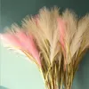 Flor de seda Rama de caña silvestre Phragmites Plantas artificiales Decoración de bodas Suministros de decoración para el hogar Venta al por mayor Aproximadamente 100 cm 6 diseños BT696