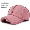 Faux Suede Fleece Winter Dad Hat Women Mens Cap Brown Grey Pink Six Panel Baseball Cap Adjustable266Q