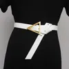 brown dress belt gold buckle