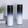 500 ml Creative Lumineux Personnalité Étoile Lumineux Bouteille D'eau Cadeau En Acier Inoxydable Flacon À Vide Avec Boîte Livraison Gratuite